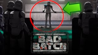 Bad Batch Reveals BIG Reason Why Were Clones Replaced With Stormtroopers [upl. by Tiersten971]