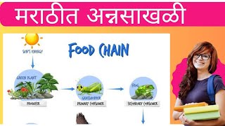 Food Chain l Ecology l LN Education l [upl. by Phelgon744]