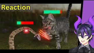 quotHow Cats Broke The Gamequot  Kip Reacts to TierZoo [upl. by Egdirdle]