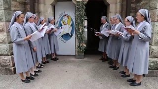 Sisters of St Paul de Chartres make pilgrimage to Holy Door [upl. by Nilats]