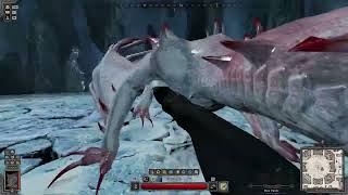 Dark and Darker  HR Wyvern kill with Panther Druid  Flawless kill [upl. by Clemmie]