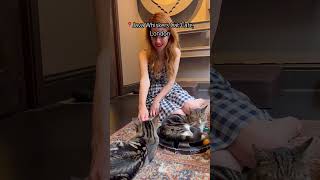 📍 Java Whiskers Cat Café London 😻 ad pr cats catcafe catlover catvideos [upl. by Elletnwahs]