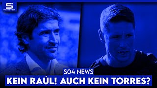 Raúl lehnt ab Torres kein Ersatz Schmerzgrenze bei Sylla Ungerecht vom DFB behandelt  S04 NEWS [upl. by Yoccm172]