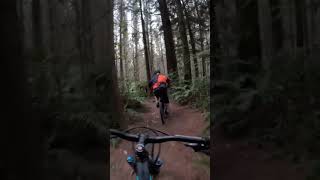 mtb fun nzmountainbiking mountainbikeroute mtbnz downhill nzmtb [upl. by Candis]