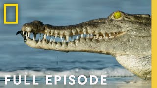 Oceans Full Episode  Hostile Planet [upl. by Ahcsap]