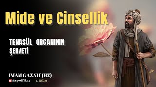 Tenasül Organının Şehveti  İmam Gazalî Hz  Sesli Kitap [upl. by Thornton]