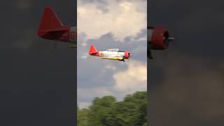 Giant Scale RC AT6 Texan’s MindBlowing Radial Engine Sound [upl. by Ytteb68]