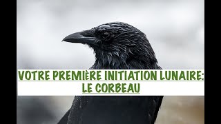 RECEVEZ VOTRE PREMIÈRE INITIATION LUNAIRE quotCORBEAUquot SI VOUS AVEZ FINI LES COURS DE BASE LES INFOS [upl. by Morganstein]