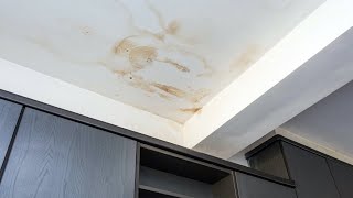 Common Causes of Water Stains on a Ceiling [upl. by Dauf]