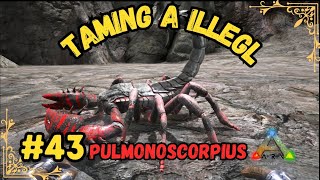 Taming A Illegal Pulmonoscorpius ARK MOBILESEASON 2PART 43 [upl. by Eerpud808]