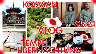 🗼JAPANVLOG🗾  Tempelübernachtung🏮 OkunoinFriedhof💀 amp Erkundung🏃 090524  Koyasan [upl. by Anwahsak372]