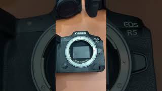 Canon R6 Mark II VS Canon R5 cuongtonnytv cuongtonny camera vuonggiangcamera [upl. by Shel]