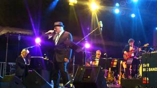 Paul Carrack amp the SWR Big Band  Fly Me to the Moon [upl. by Eahsram126]