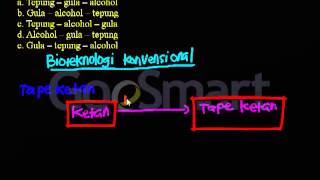 Bioteknologi Konvensional  proses fermentasi tape ketan [upl. by Samp]