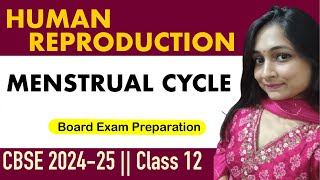 Menstrual Cycle CBSE Class 12 [upl. by Boudreaux]