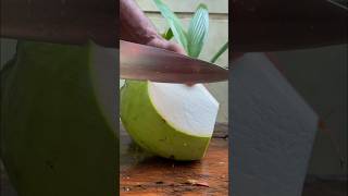 awesome coconut cutting coconuts [upl. by Ecarret]