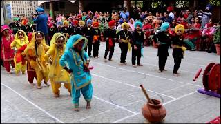 Bhangra Giddha Nursery class students SGHP School Golden Avenue Amritsar [upl. by Micheal]