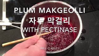 Plum makgeolli 2 pectinase 자두 막걸리 homebrew Korean rice wine [upl. by Maurine]