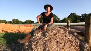 Caddo Indian Artifacts on Julia Trigg Crawfords Farm [upl. by Kinsman]