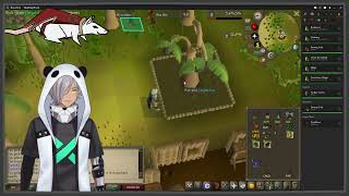 OSRS pt 74 Proselyte and Slayer [upl. by Gerk]