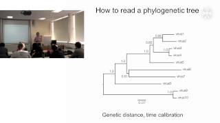 1 Phylogenetic analysis of pathogenslecture  part1 [upl. by Granger756]