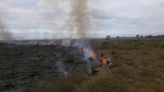 Brazils wetland Pantanal region ravaged by hundreds of wildfires  AFP [upl. by Bathelda]