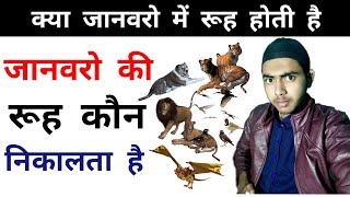 जानवरो की रूह कौन निकालता है  Animals spirit  kya janwaro ki rooh hoti hai  सय्यद अली [upl. by Doane173]