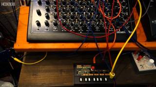 MONOTRON DELAY RESONANCE MOD  CV FOR FILTER TB 303 goes through the KORG MONOTRON MS 20 FILTER [upl. by Kirit]