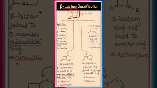 Classification of BetaLactam Antibiotics ytshorts PharmaRealm [upl. by Acenom318]