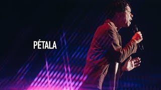 Djavan  Pétala  D Ao Vivo Maceió Clipe Oficial [upl. by Moyra40]