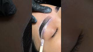 The waxing process💜 browwaxing browwax eyebrowwaxing browwaxtutorial [upl. by Tehc214]