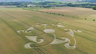 2024 Crop Circle Etchilhampton Wiltshire UK  08082024 4K [upl. by Leinaj460]