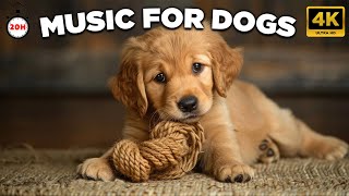 10 HOURS of Dog Calming Music For Dogs🎵💖Anti Separation Anxiety Relief🐶🎵Puppy sleeping🎵 [upl. by Drawe427]