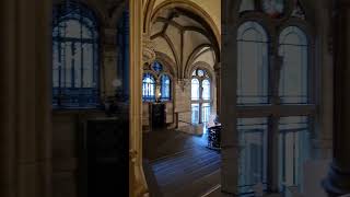 Hamburg Rathaus inside Germany youtube funny citylife foryou hamburg rathaus rathau [upl. by Eniamrehc]