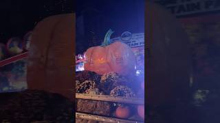 Pumpkin Festival [upl. by Gujral]