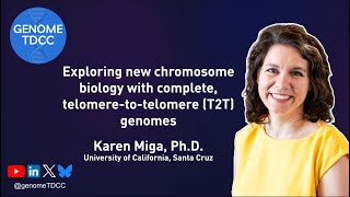 Exploring new chromosome biology with complete telomeretotelomere T2T genomes [upl. by Aikam]