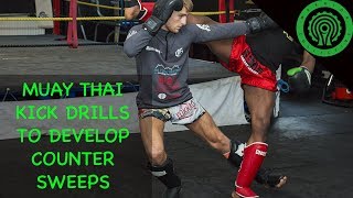 Muay Thai Kick Drills to Develop Sweep Counters in Sparring  Fighting [upl. by Hailat]