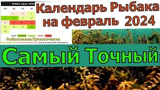 Календарь рыбака на Февраль 2024 Прогноз клева рыбы Лунный календарь рыболова Февраль 2024 [upl. by Girvin]