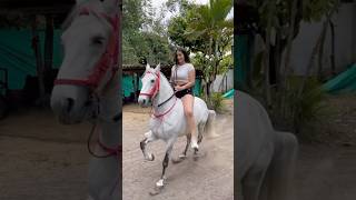 Caballos paso fino caballocriollocolombiano caballos colombia parati horse ferias viralshorts [upl. by Aled415]