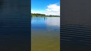 Early Sunday morning swim at Bookers Pond Shewalton Irvine North Ayrshire [upl. by Aloeda]