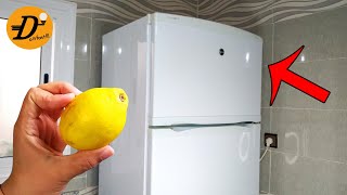 How to QUICKLY clean white fridge outside 😲 easy fridge cleaning [upl. by Beulah]