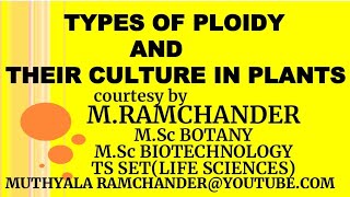 Types of PLOIDY and THEIR CULTURE IN PLANTS [upl. by Fraya233]