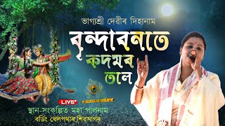 বৃন্দাবনতে কদমৰ তলেভাগ্যশ্রী দেৱীদিহানামBrindabonote kadamar toleBhagyashree DeviPalnamSivsagar [upl. by Fe647]