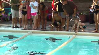 Ingomar North Recreation and Swim Club Home Swim Meet  July 1 2013 [upl. by Jobye]