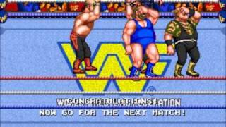 WWF Wrestlefest  Play with Legion Of Doom [upl. by Adnouqal853]