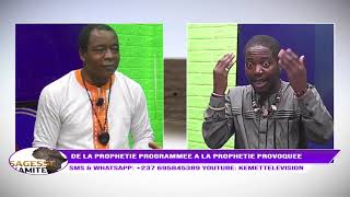 SAGESSE KAMITE  DE LA PROPHÉTIE PROGRAMMÉE A LA PROPHÉTIE PROVOQUÉE [upl. by Helfand]