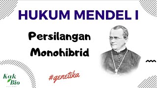 Hukum Mendel I Persilangan Monohibrid  GENETIKA [upl. by Auqenat]