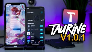 Taurine iOS 14 Jailbreak Update New Version 101 Sandbox Issues amp Zombie Processes 143  140 [upl. by Pain]