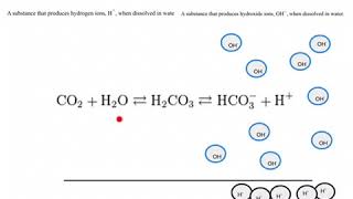 Bio Bits  Carbonic Acid Buffer System [upl. by Bowen]