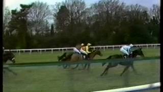 1986 Embassy Premier Chase Final [upl. by Burrell]